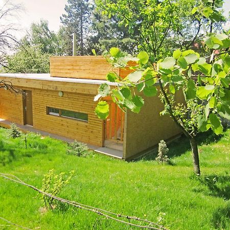 Vacation Home Pani Haje Moravany  Buitenkant foto